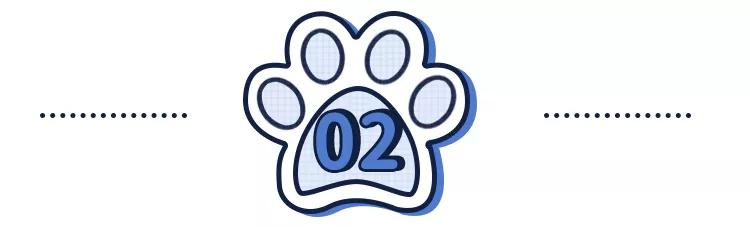 “猫咪发情，可以用棉签帮它爽爽吗？”