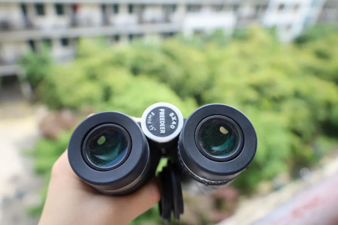 封控80天、先后经历三轮隔离，没有这些东西我根本熬不到解封