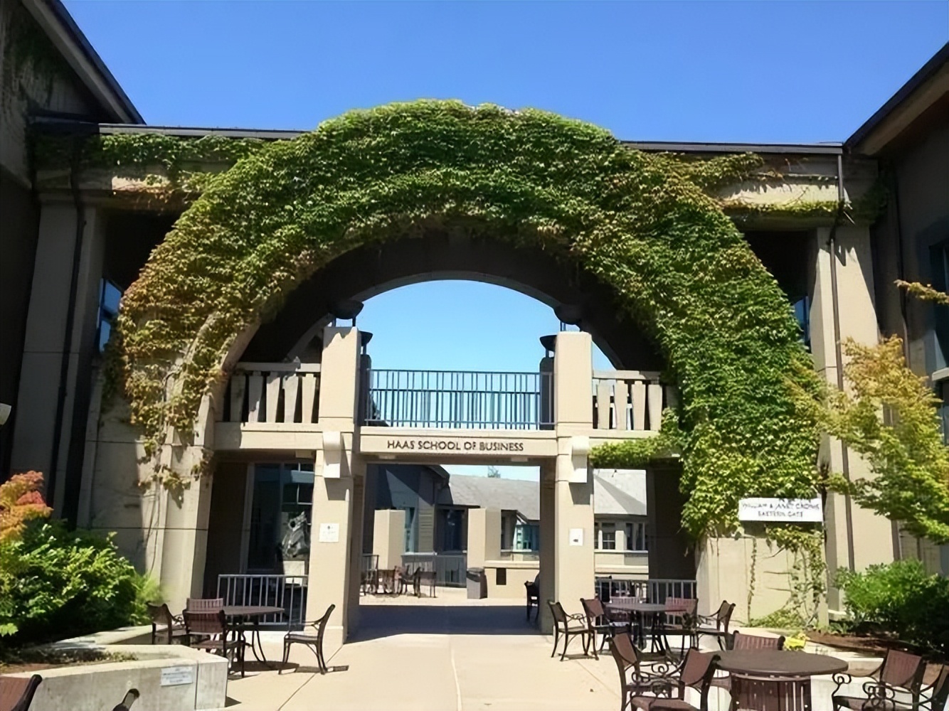 美国商学院的中坚力量——Sweet16