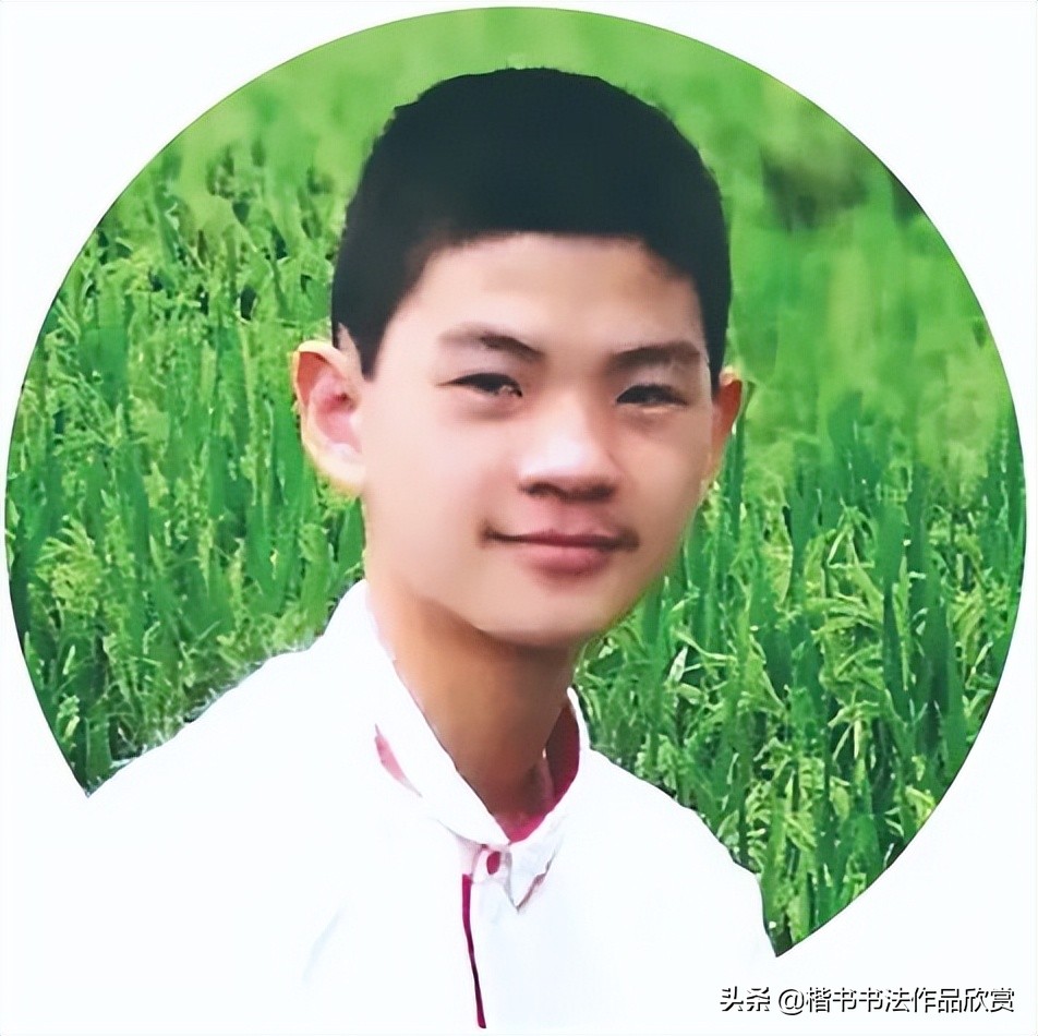 全国硬笔书法大赛作品集锦,全国首届硬笔书法大赛特等奖作品