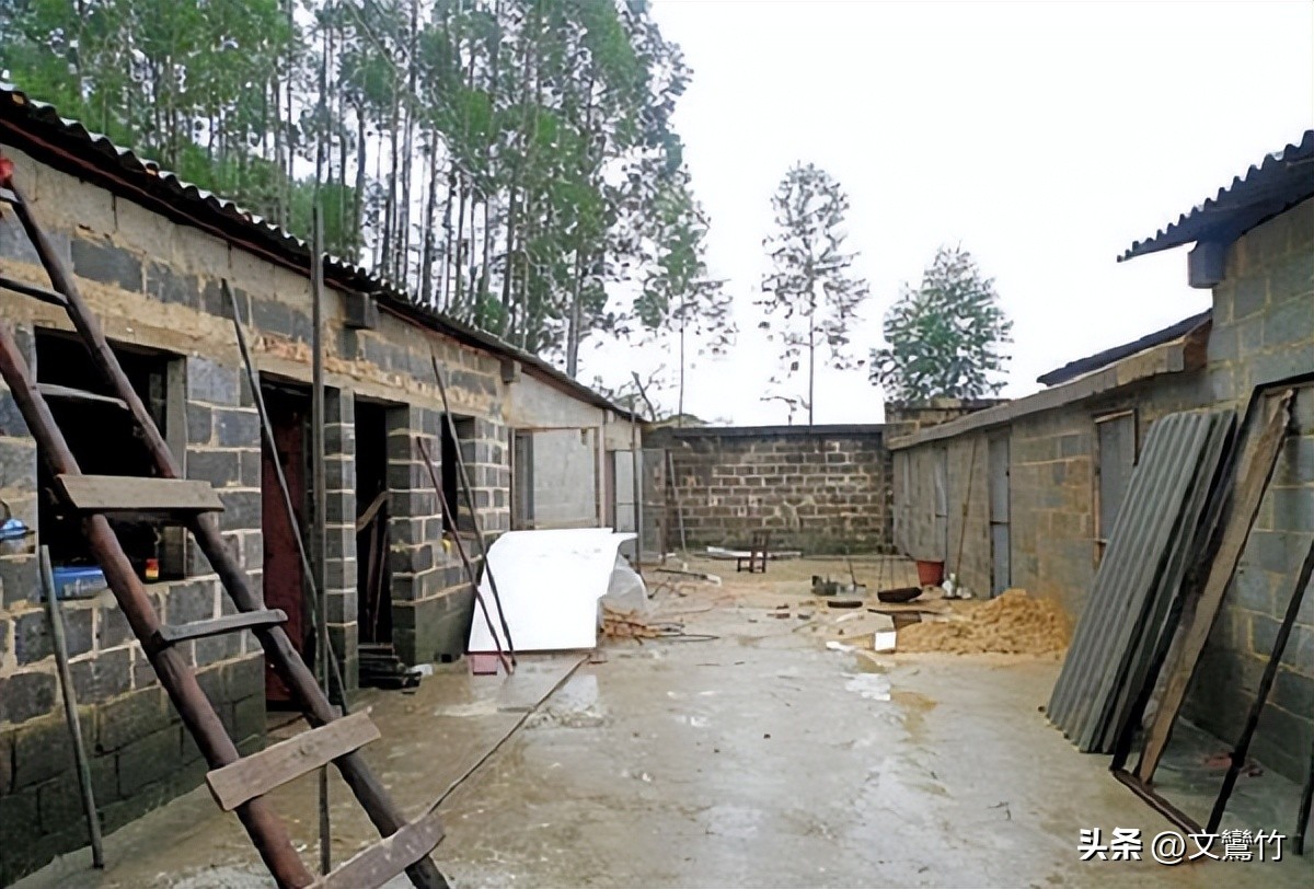 1999年江苏*员复**军人回乡养毒蛇，“以毒制毒”成产业，后来怎样了