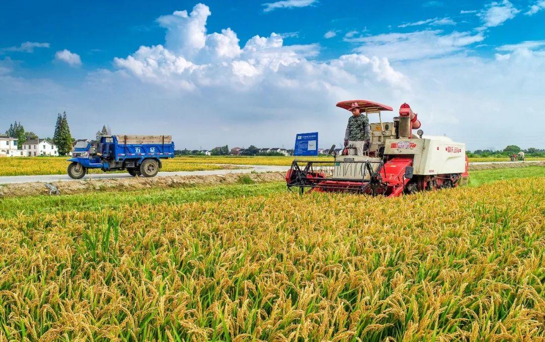 常熟之地“新粮农”