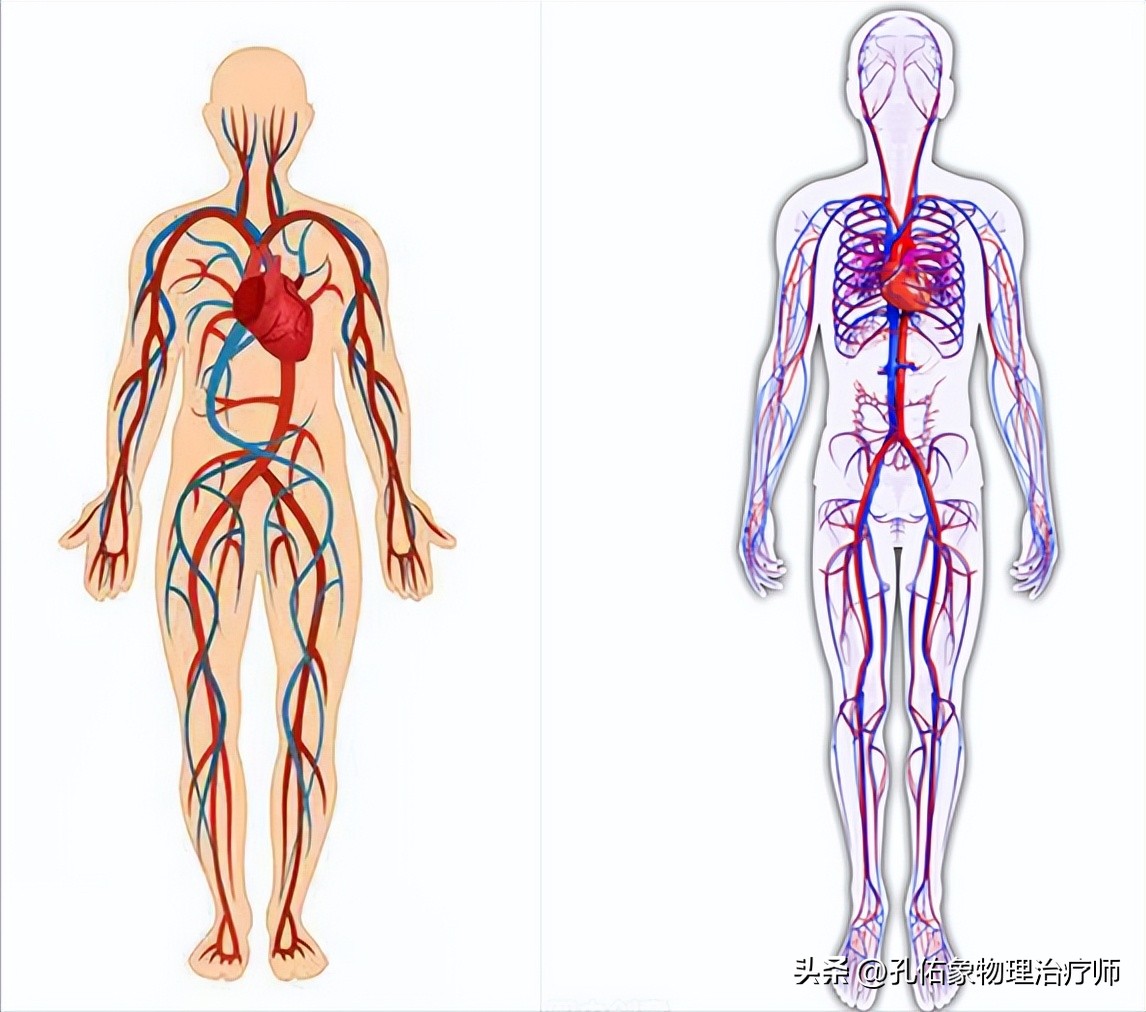 脚部信号透露健康问题,脚部出现这6种症状