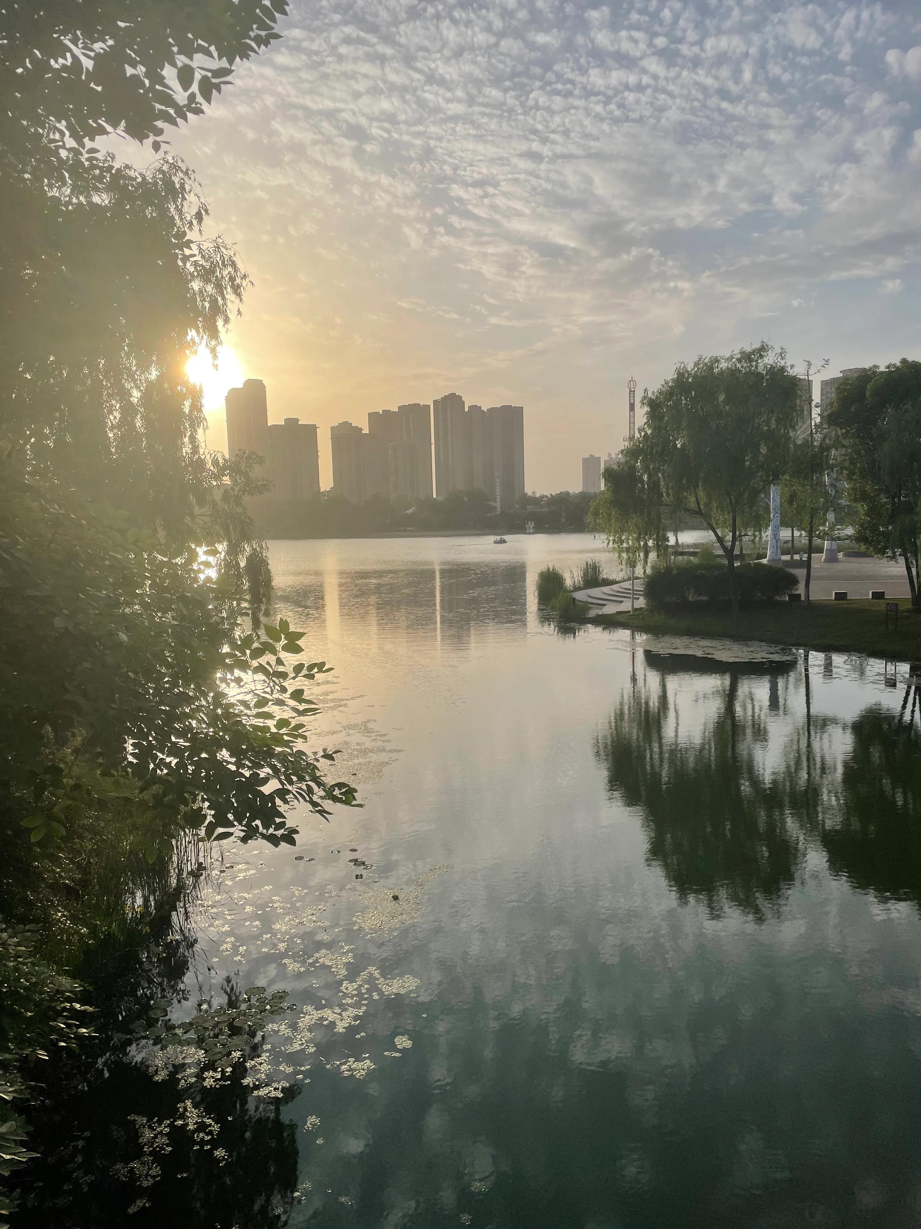 常德出游必去的景点