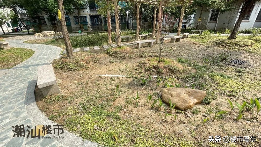 “指南里”一夜爆红！汕头桃园小区申请红花老姨出战！