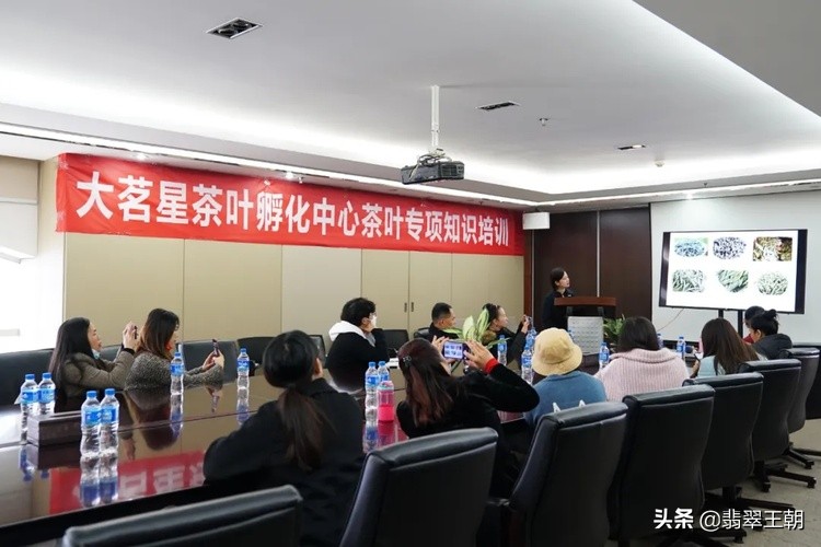 昆明国茶港茶叶直播,国茶港大茗星