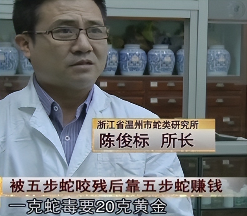 男子被剧毒蛇咬后蛇却奄奄一息,男子被蛇咬安然无恙蛇却奄奄一息