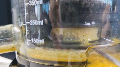 蓝宝原汁机和九阳原汁机对比,九阳原汁机哪个型号好