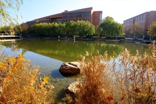 郑州大学双一流高校,郑州大学创新创业申报与要求