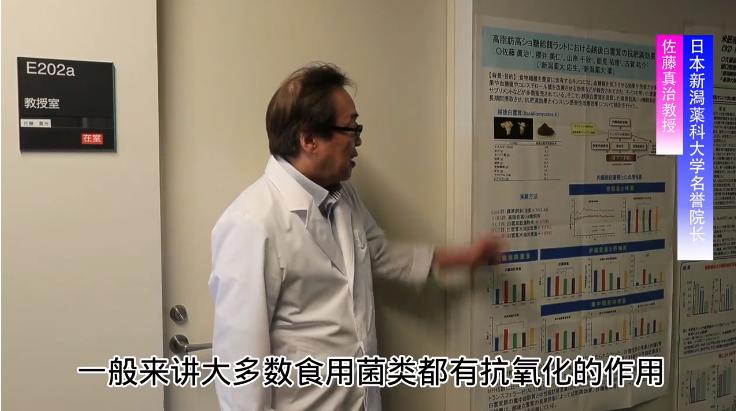 抗衰调理新选择，日本白雪茸，天然菌类萃取安全又健康