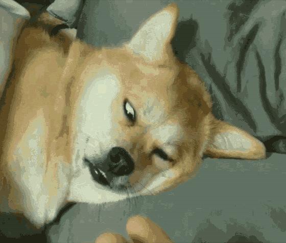 拉屎太用力有什么后果,拉屎便秘快速解决小妙招