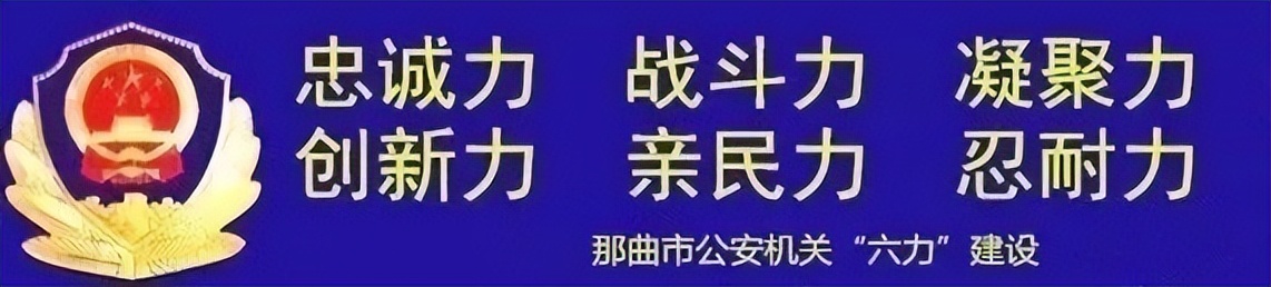 丹心向核心护航新征程含义,丹心向核心护航新征程演讲材料