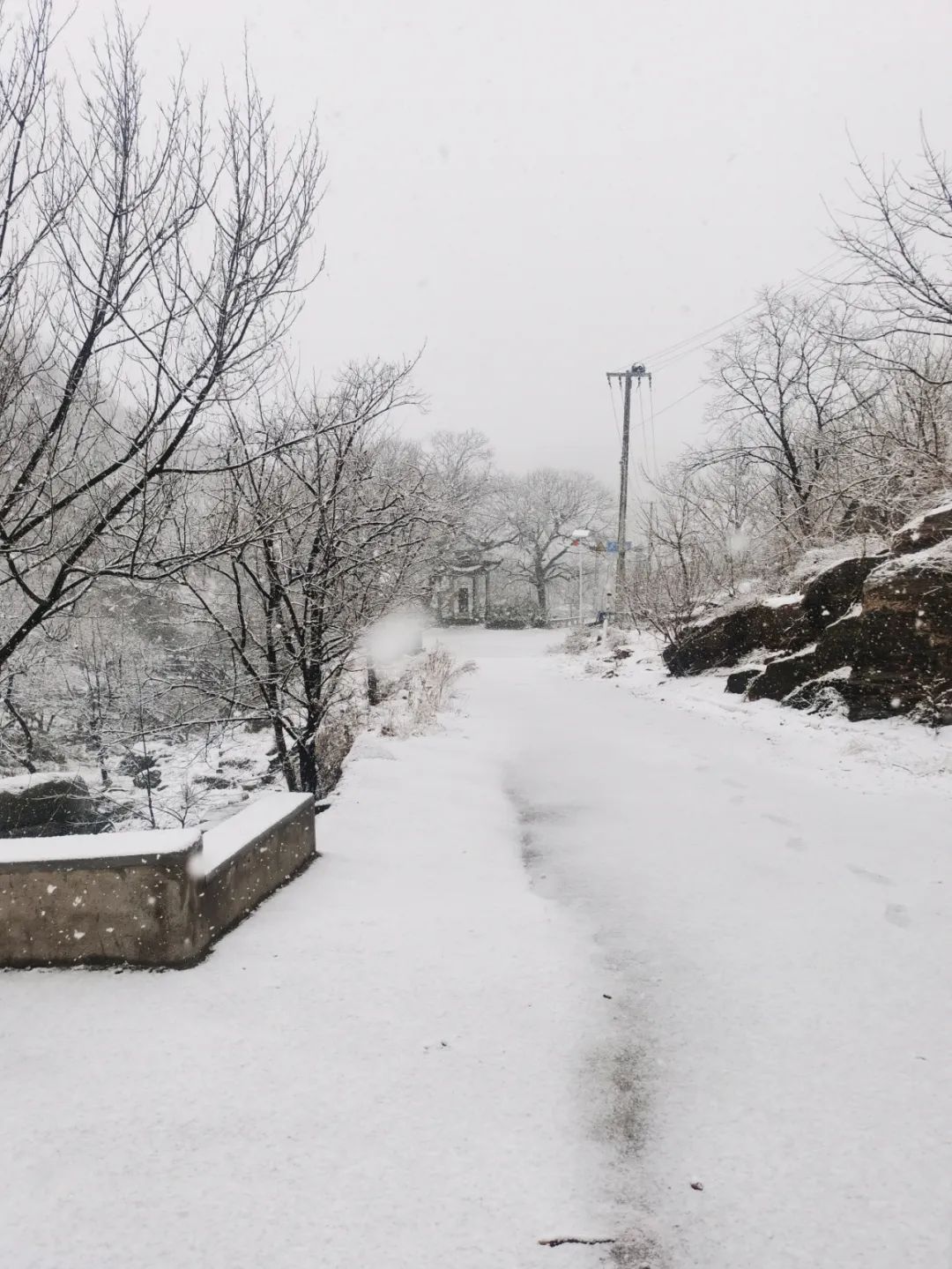 雪落成白墨影成殇,零落成妆