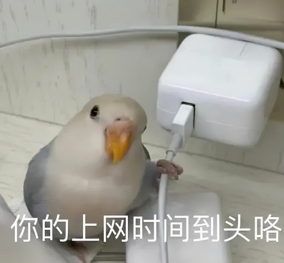 为什么法国大学生爱用笔记本电脑做笔记？键盘和笔，哪个更高效？