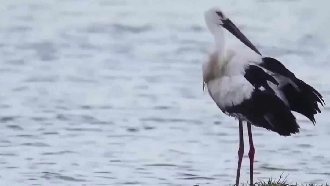这么近那么美周末游河北倒计时,这么近那么美周末到河北去哪玩