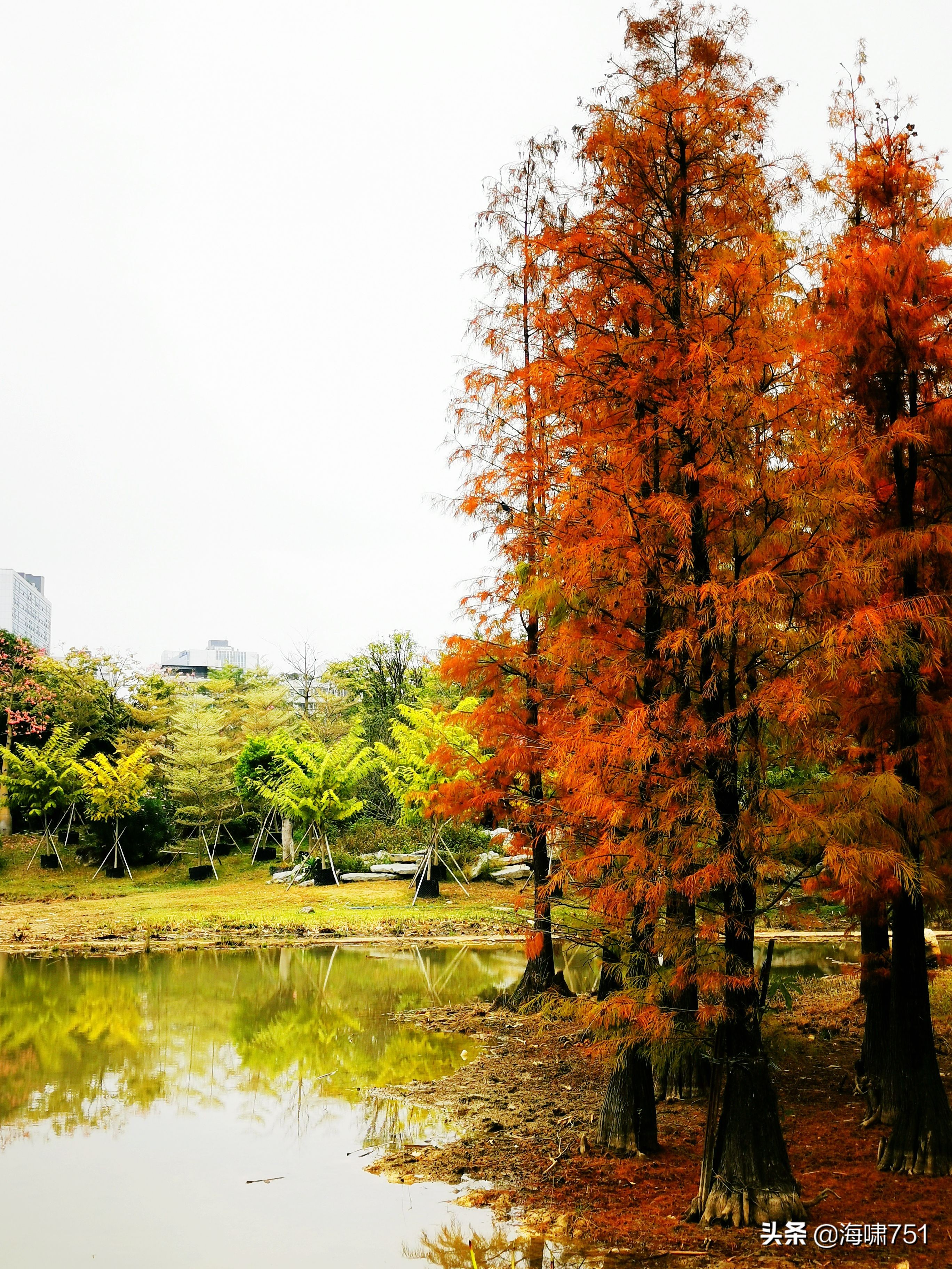陈田花园全景图,陈田花园照片