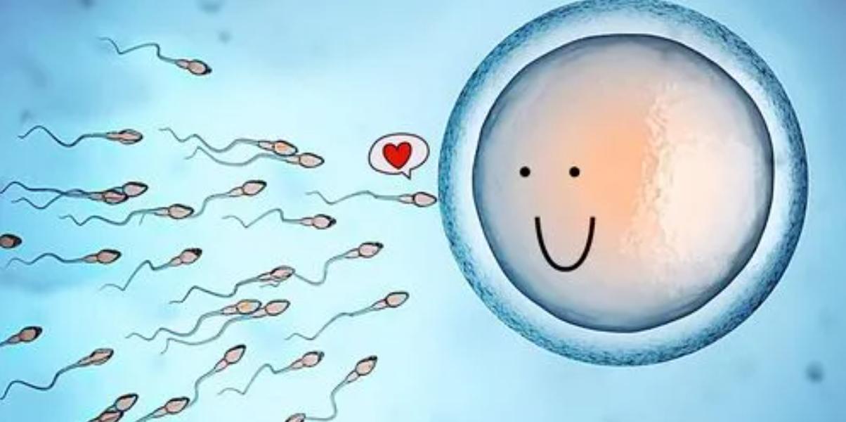 一个人来到世上真实的概率,一个人来到人间有多不容易