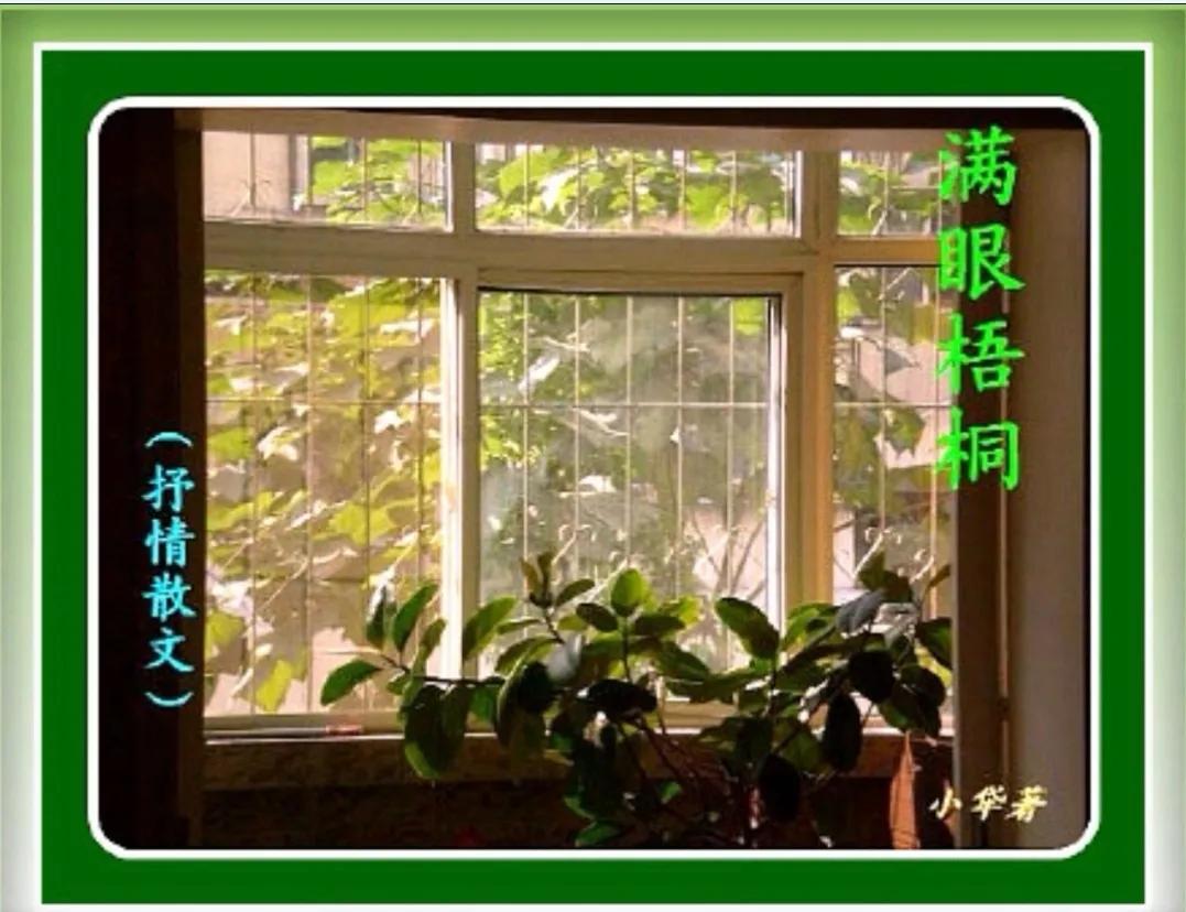 转载：张俊杰博文：“一粒种子”及小牮感言