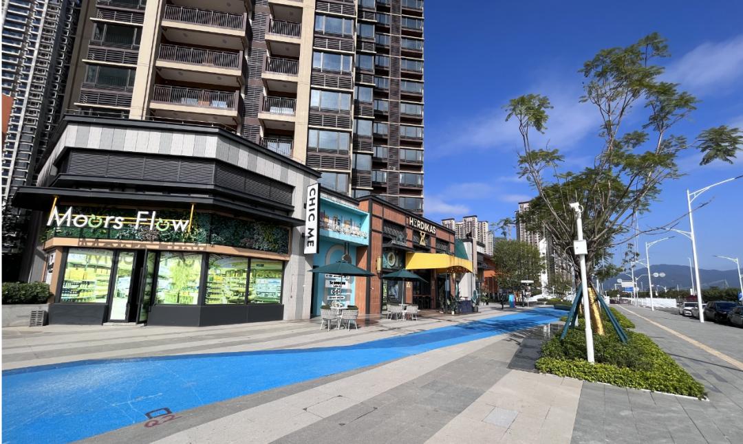 广东肇庆新区中心小区 (肇庆新区小区)