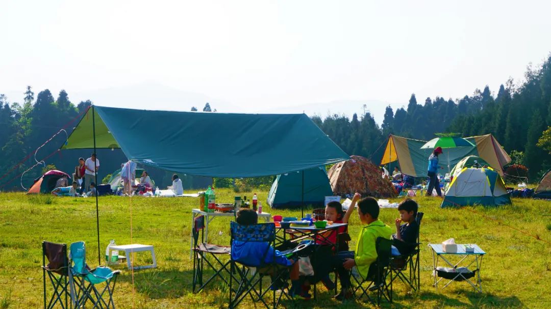 洪雅一个生你养你的地方,洪雅一个养你的地方