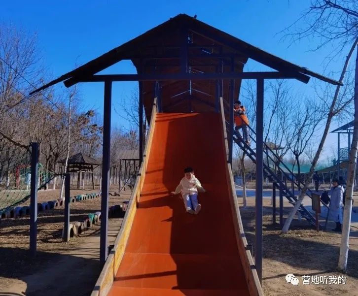 捞小河里的小蝌蚪,上海抓小蝌蚪的公园