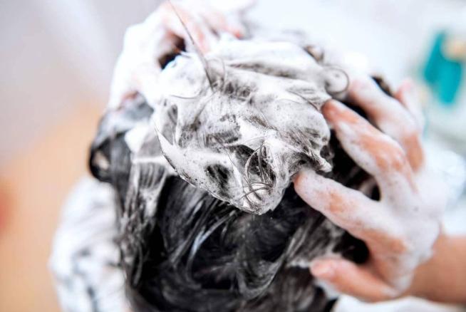 阿道夫跟海飞丝,海飞丝清扬阿道夫沙宣飘柔