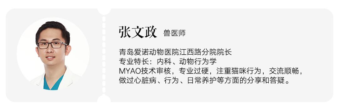 猫咪怎样驱跳蚤和蜱虫 (小猫身上有跳蚤了做外驱有用吗)