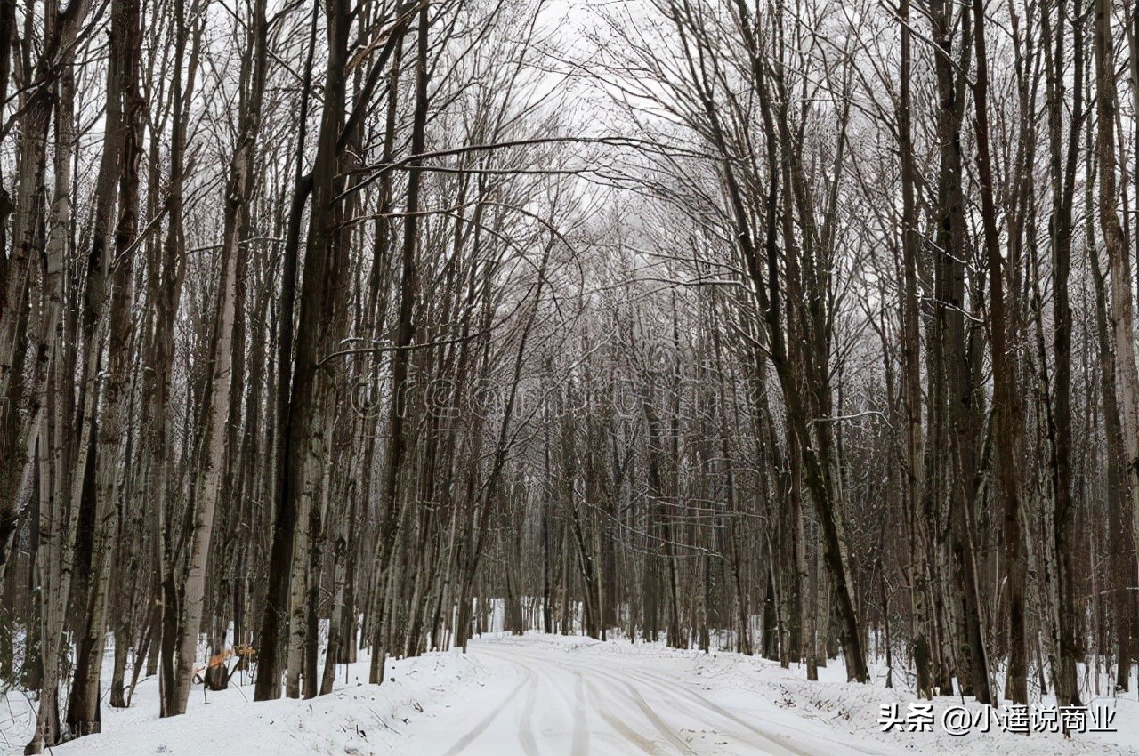 张玉植发,雍禾植发董事长张玉个人身价
