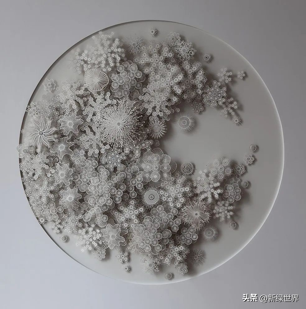 纸艺作品绘画,千变万化的纸艺术作品