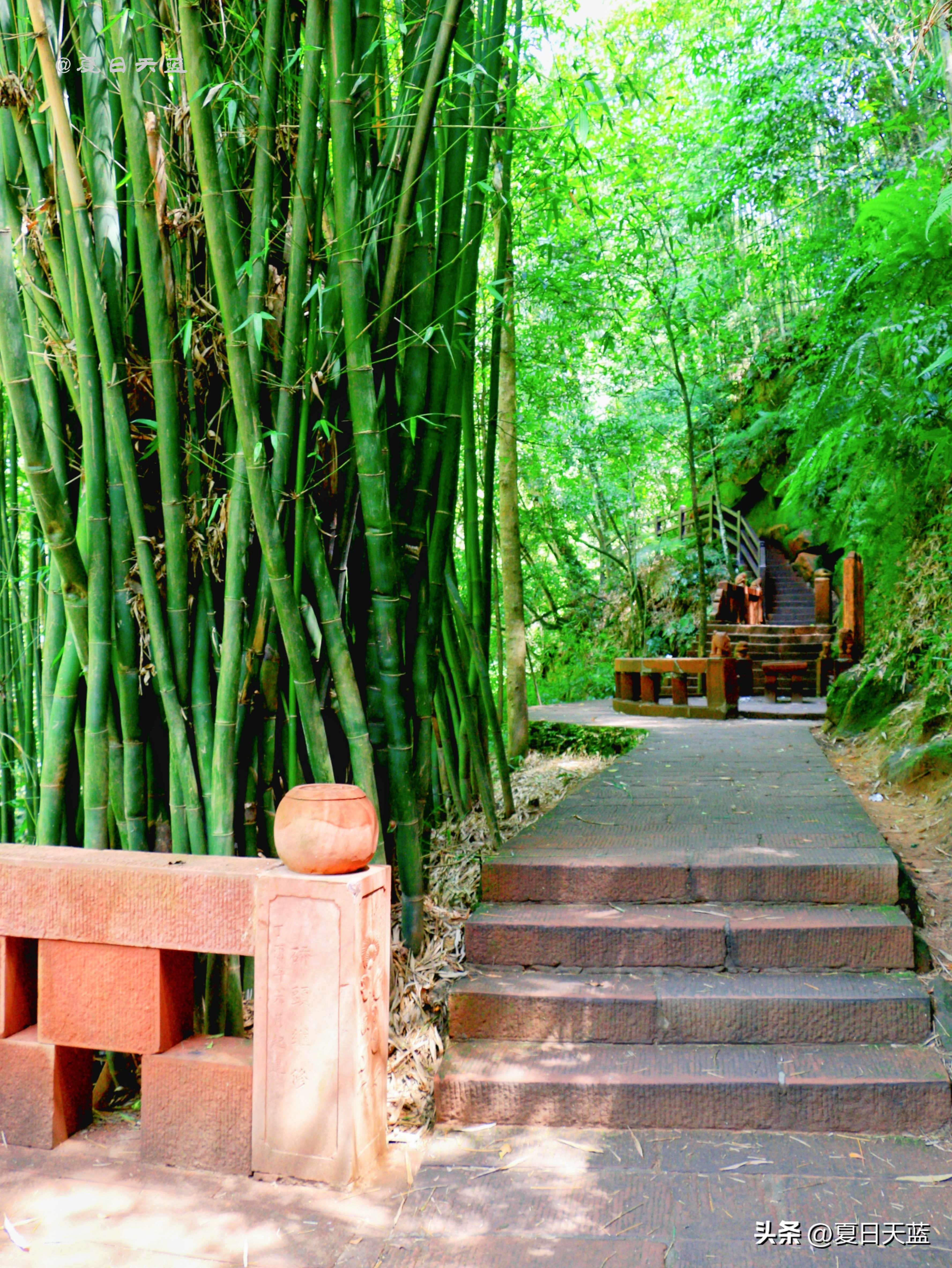 最新贵州赤水旅游攻略图,赤水市丙安古镇怎么游览