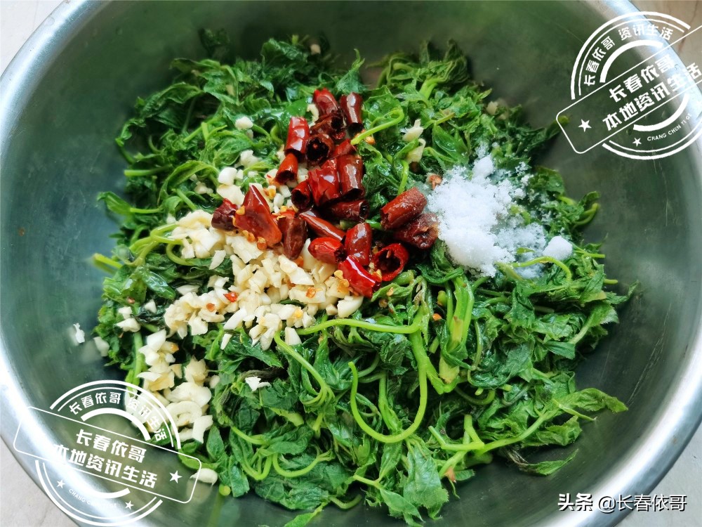 东北第一山珍刺老芽堪比海参,刺老芽刺五加山货