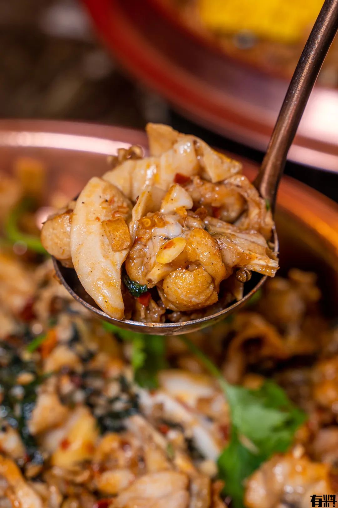 松山湖万象汇牛蛙团购,东莞牛蛙店