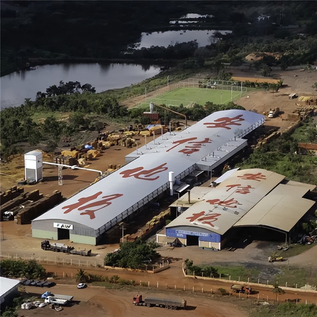 因“材”际会，安信地板与南美巴西的不解之缘