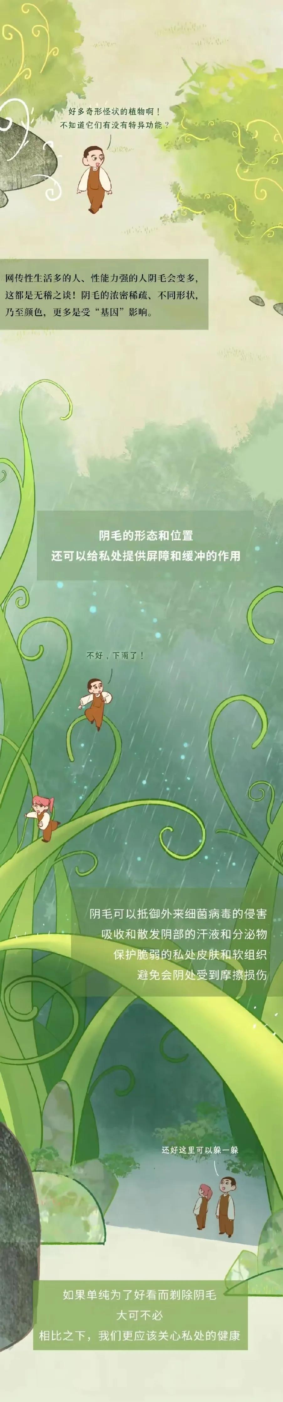 人类阴毛从初生到脱落的全过程，中间都会出现哪些变化？好神奇
