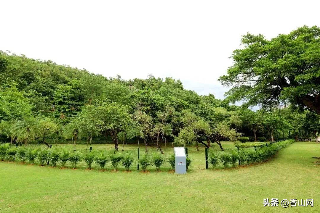 珠海遛狗有市场吗,珠海有哪些地方可以遛狗啊