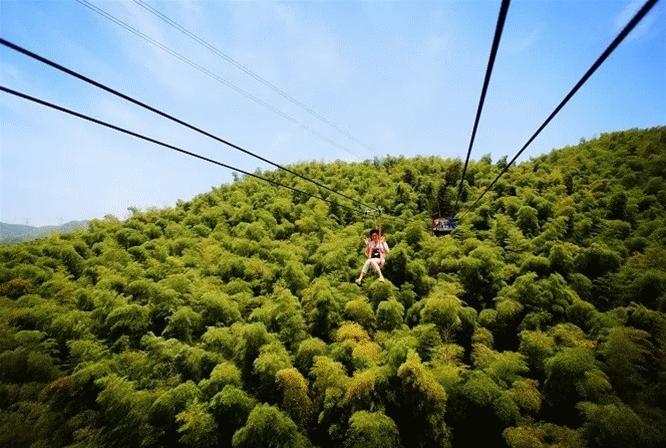 宁波人去普陀山旅游门票半价么,宁波人普陀山门票优惠政策
