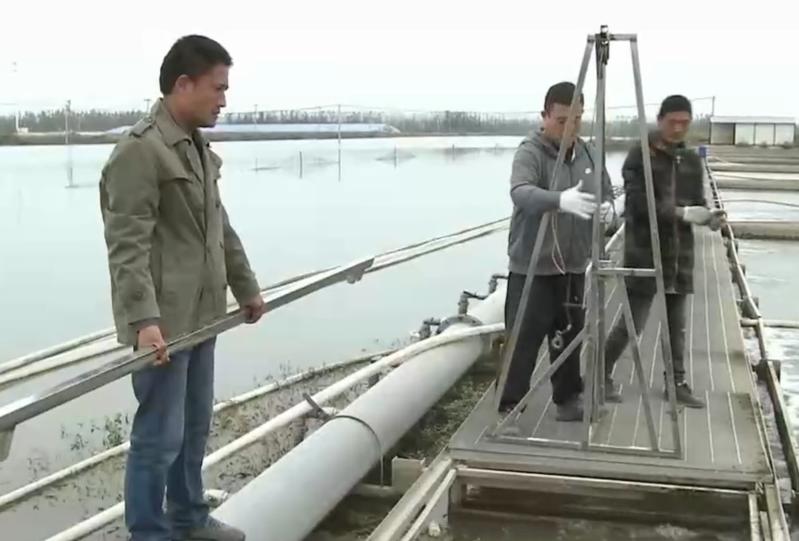 水库养鱼一年收入1000万,30亩养鱼塘一年收入