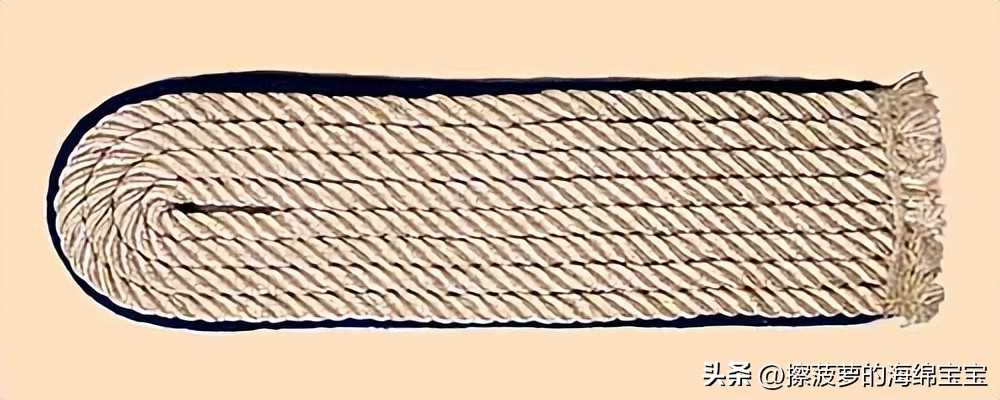 纳粹冲锋队用的什么枪,纳粹德军军衔图解