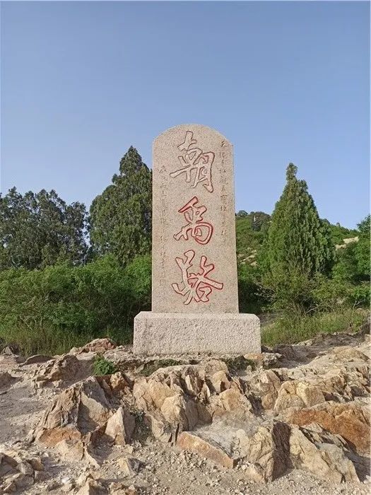 安徽蚌埠搬迁规划,安徽蚌埠狗咬人事件最新结果