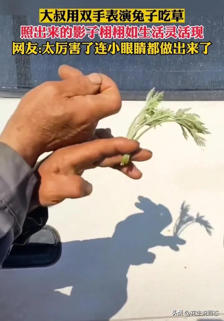 “高手”工地大爷学兔子吃草，栩栩如生，网友慕了，想回童年了