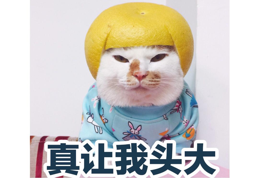 8款网红小酒大横评！小长假露营，哪几款最适合？