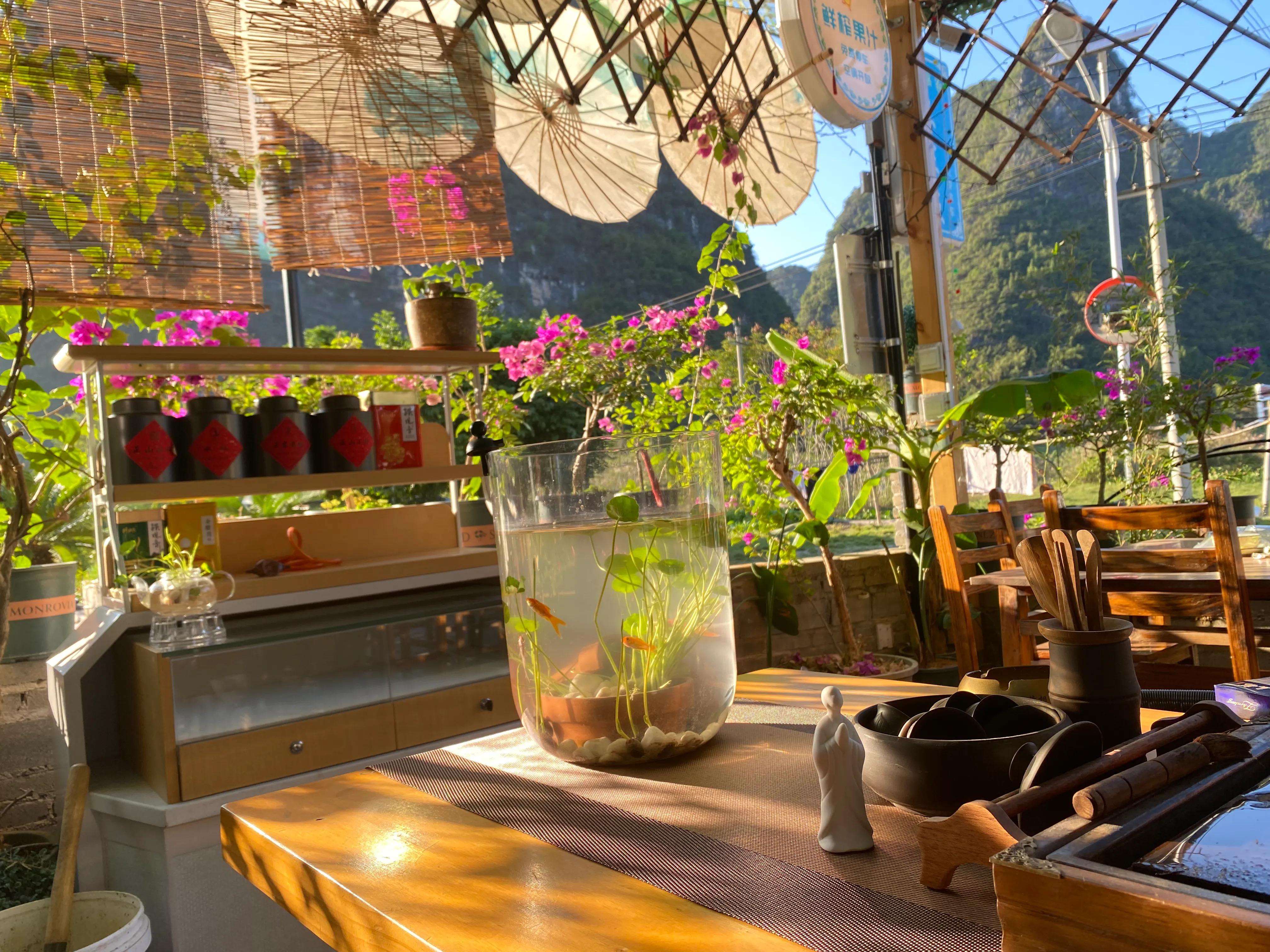 这一次养金鱼成功啦！生态鱼池学会这几招，告别金鱼杀手