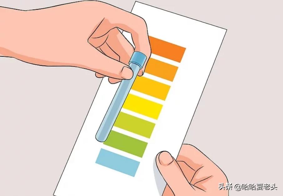 怎样拯救要死的斗鱼,怎么抢救奄奄一息的斗鱼