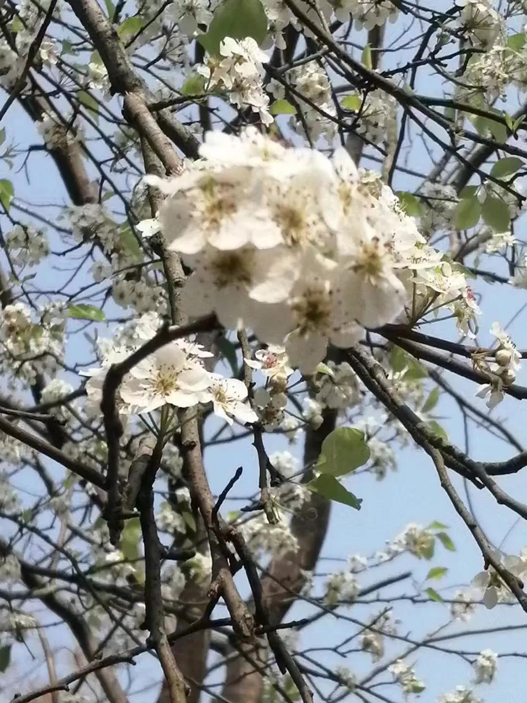 郭金海经典诗词,郭金海诗词大全