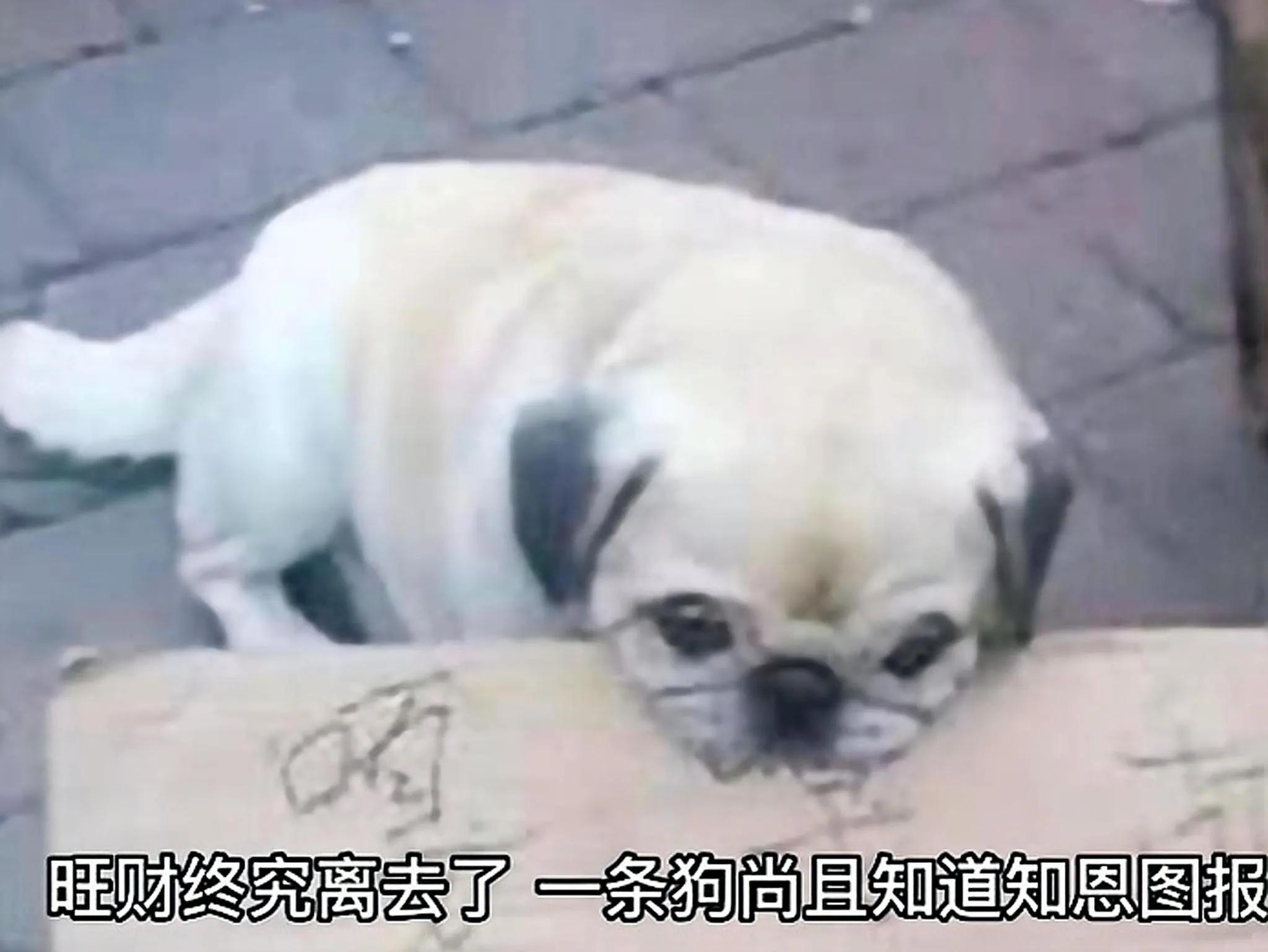 酒干倘卖无催人泪下,讲酒干倘卖无的故事