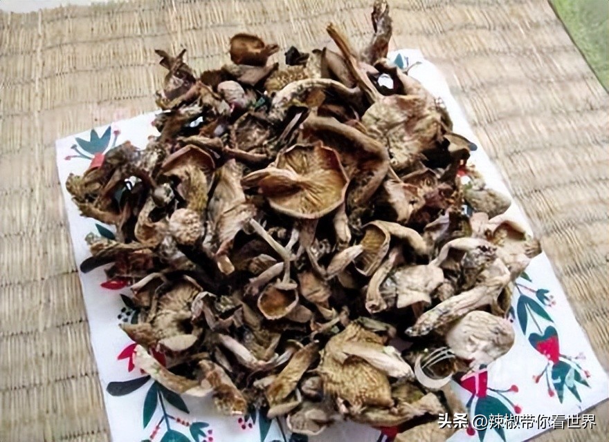 忻州一日游五台山雁门关忻州古城,五台山雁门关忻州古城三日游