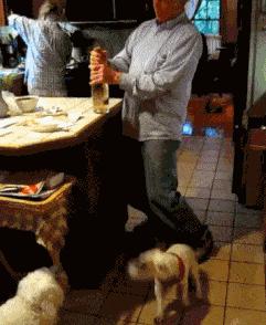 丝袜上可以纹身吗,女生纹身还能穿丝袜吗