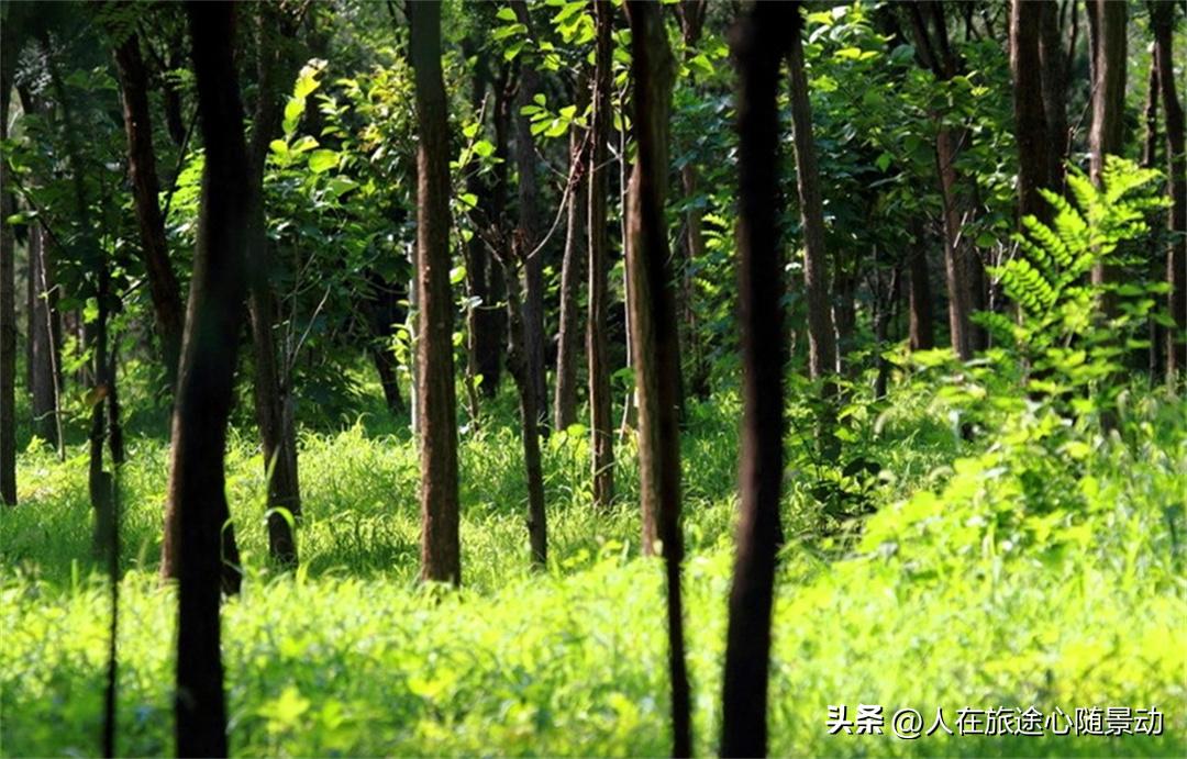 探秘宁波奉化雪窦山的美丽风光,奉化雪窦山景区一日游攻略