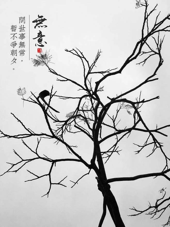 歌曲小芳啊小芳,歌曲小芳小芳