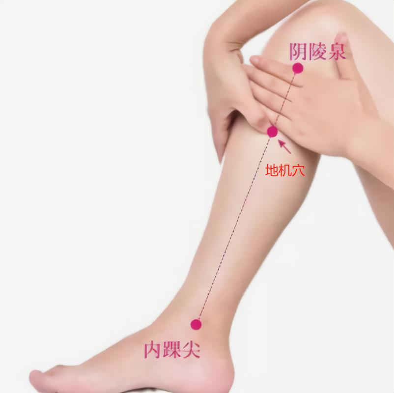 黄连干姜煮水能降血糖吗,黄连生地黄泡水喝能降糖真的假的